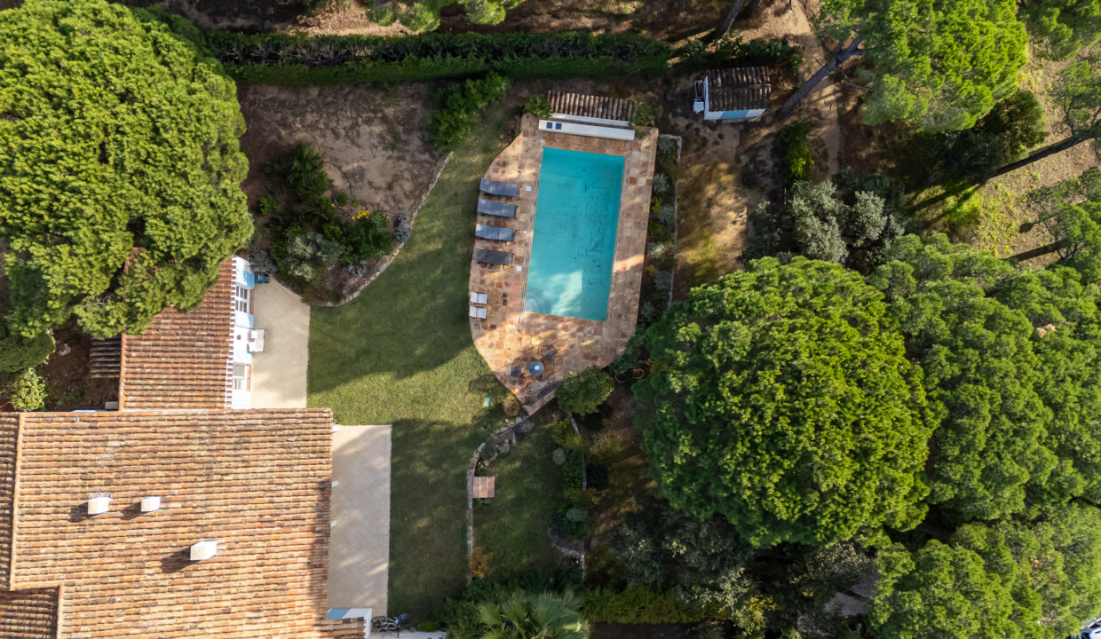 DJI_20241211105634_0388_D