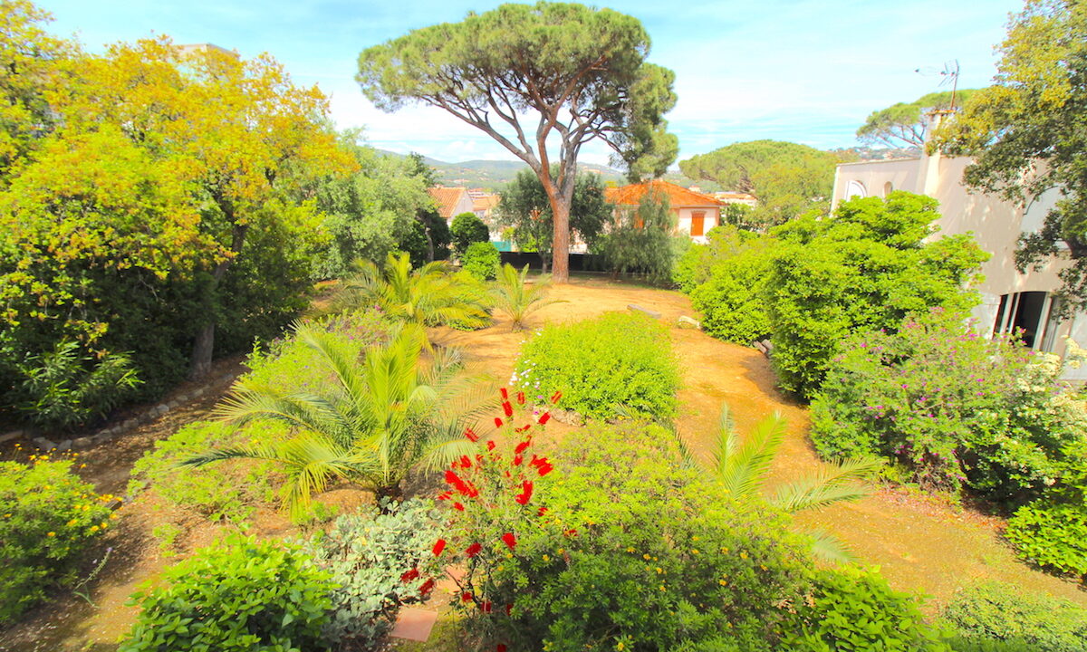jardin