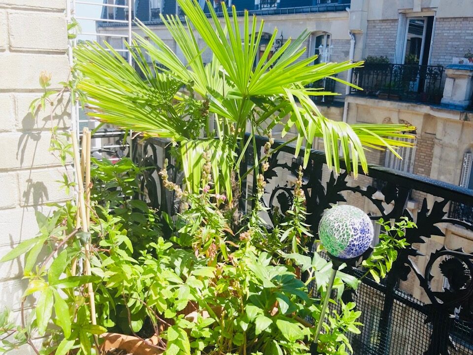 897ef627-927b-4516-b7ae-3ce83e78ee36